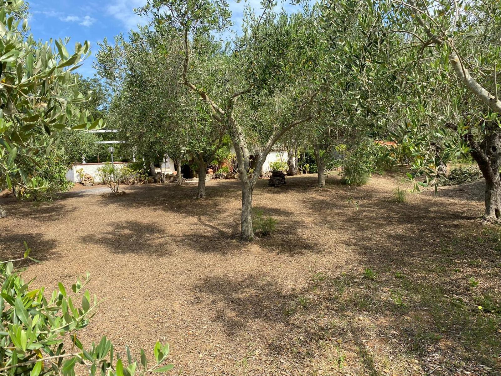 Domo Angheleda - Alghero Casa Indipendente Vicino Al Mare Екстериор снимка